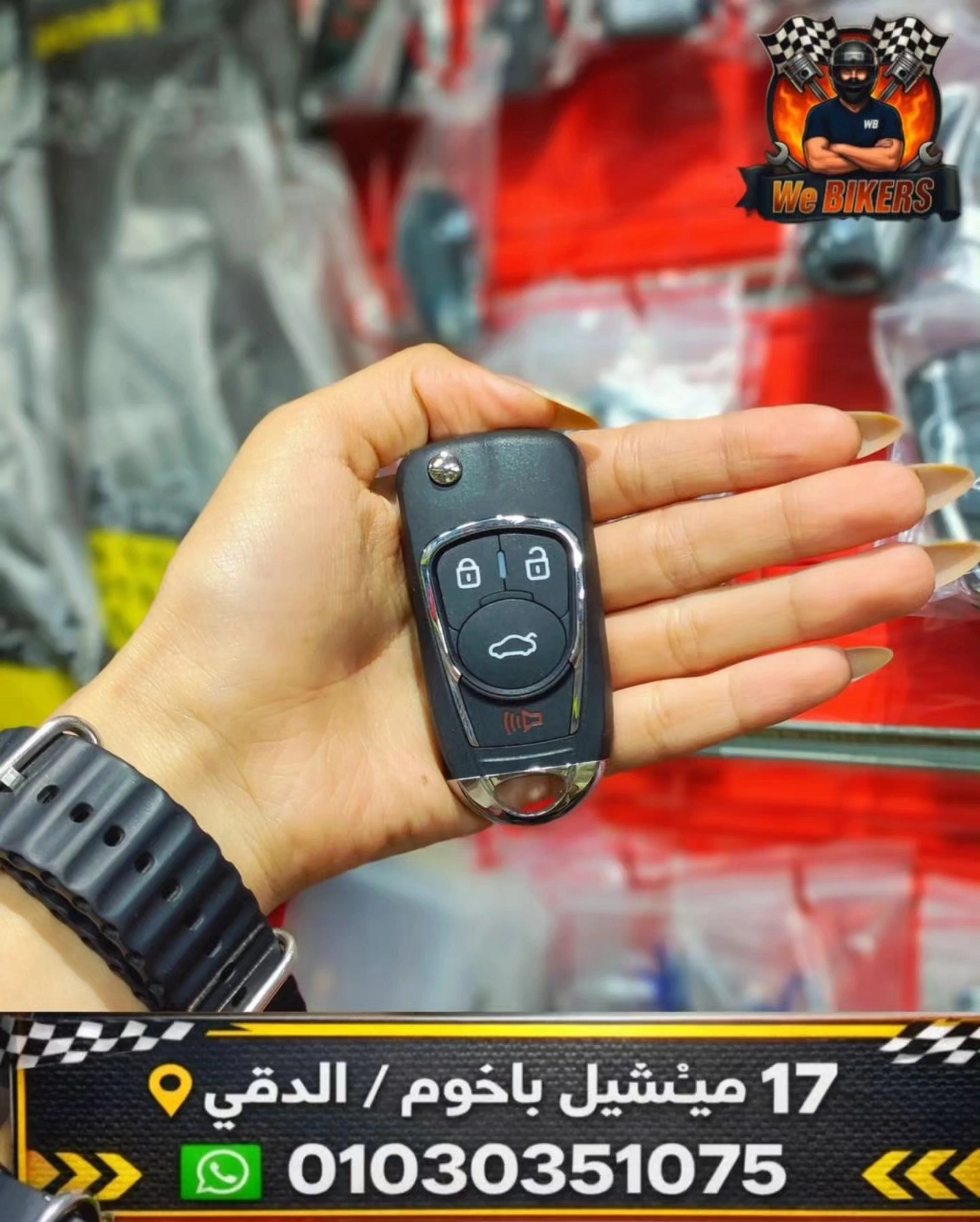 بصمة Piaggio Fly